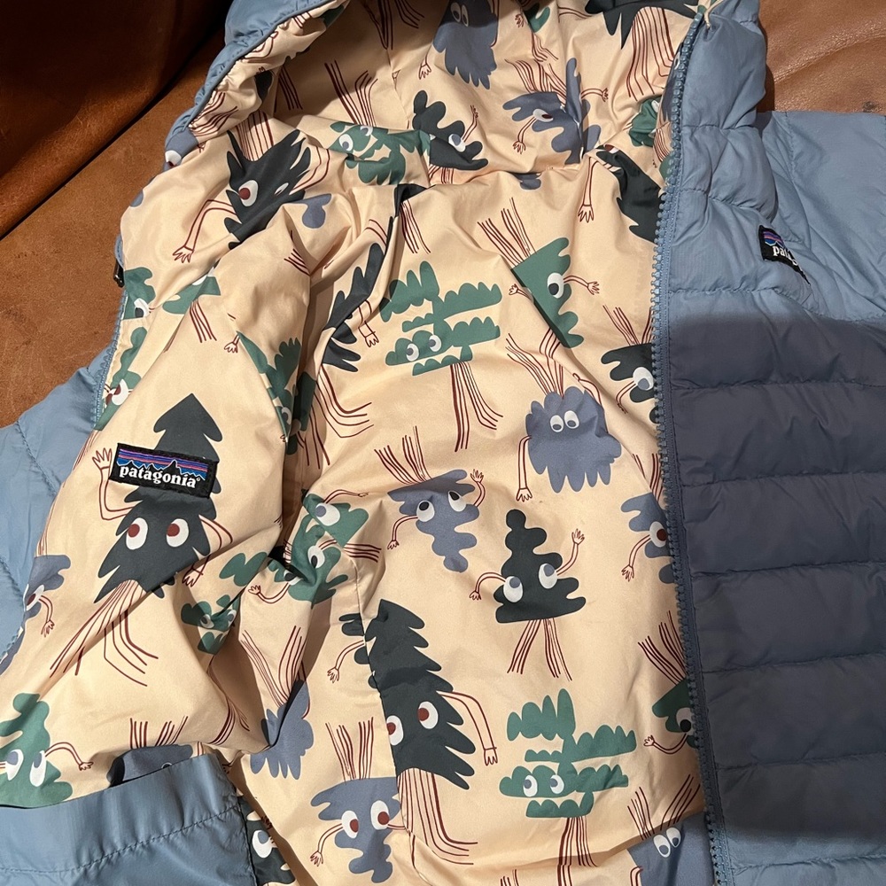 Patagonia Reversible Down Hoodie